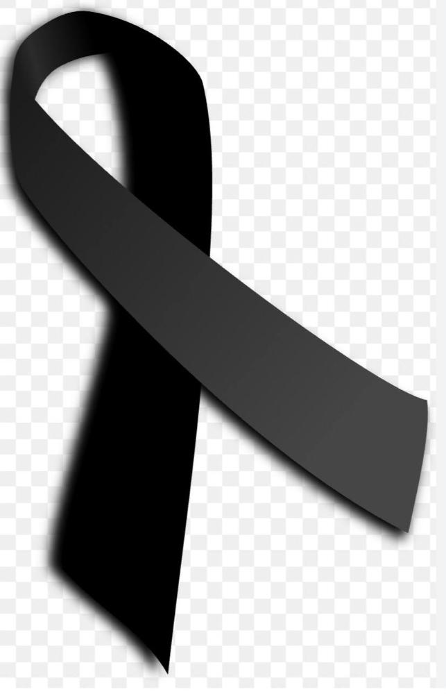 Imagen En señal de respeto y duelo a las víctimas del accidente de tren y sus familiares , el Ayuntamiento de Aldehuela del Jerte se suma a los tres días de luto oficial decretados por el Gobierno de España.